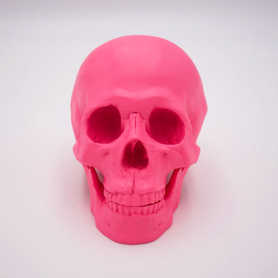 Hot Pink Skull Sculpture w/ Detached Jaw