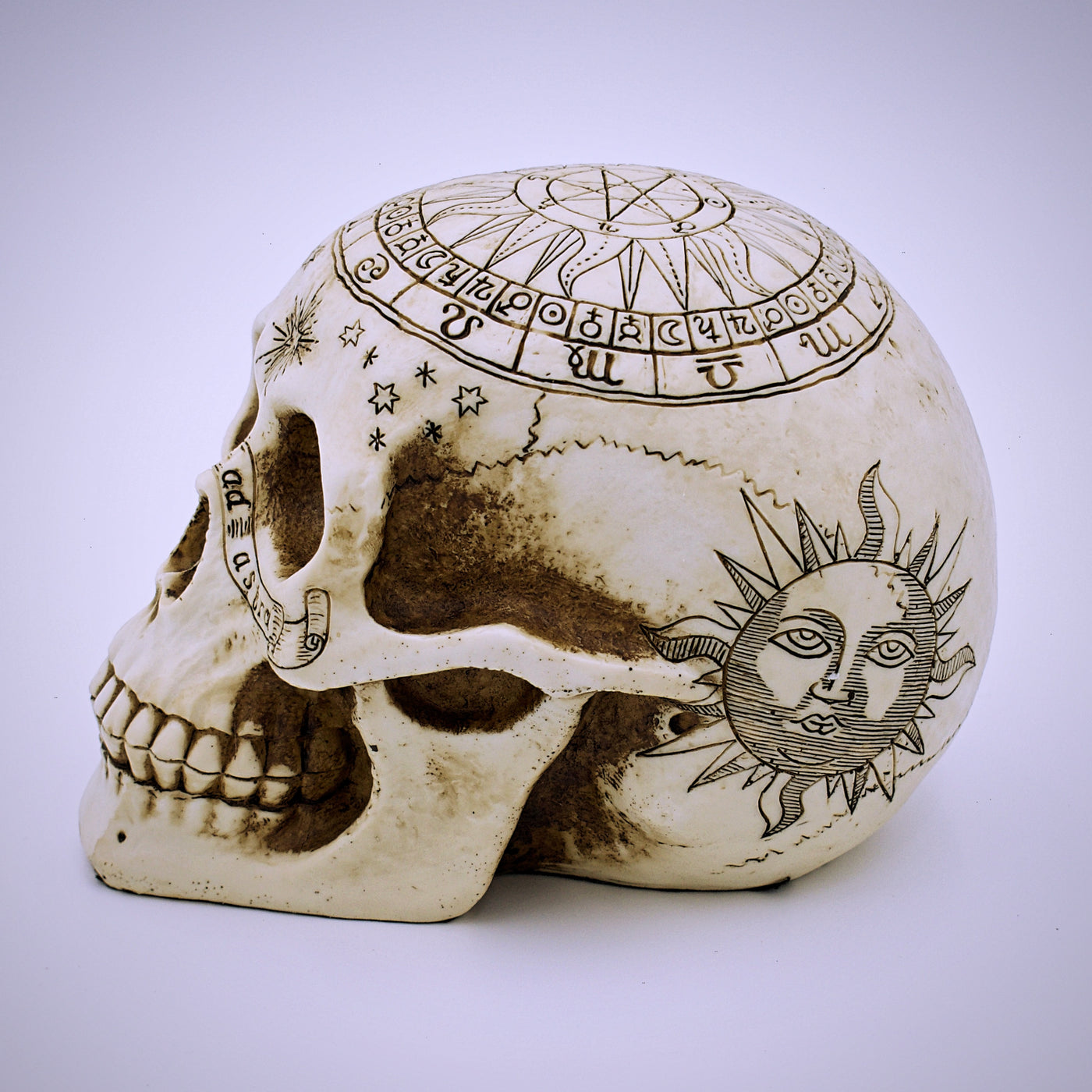 Astrological Design Skull Sculpture - The Cranio Collections
